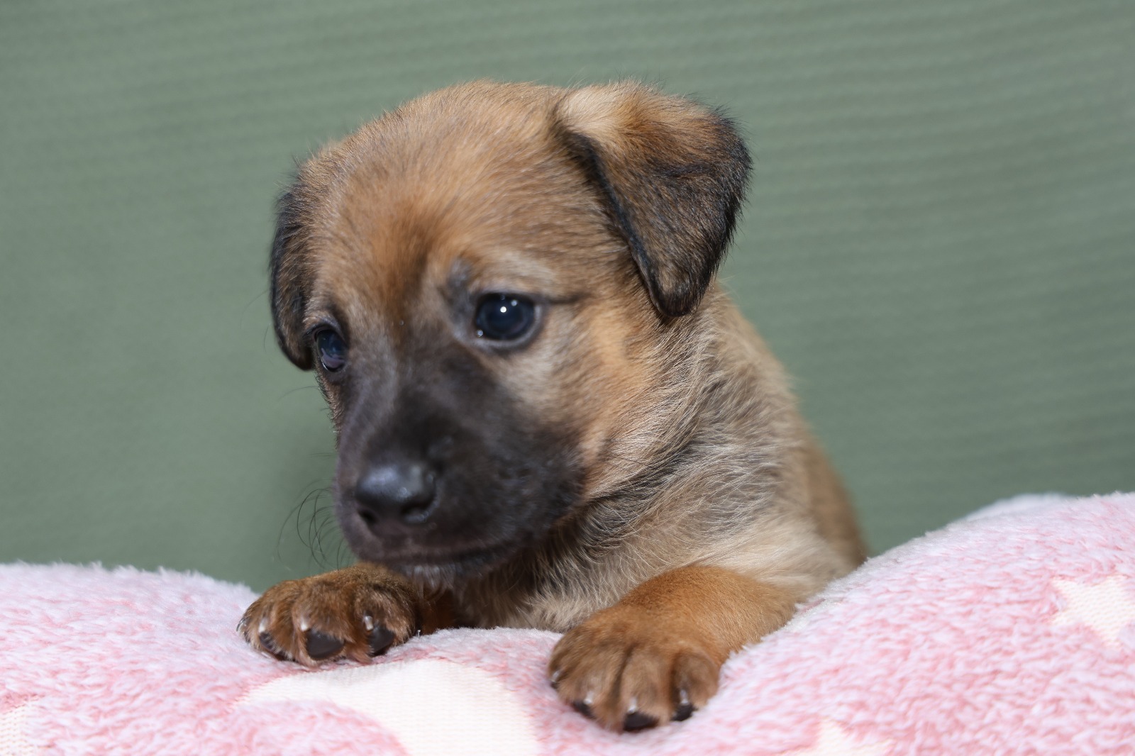 141b673c-111d-40d4-8c57-cd8716b6d435