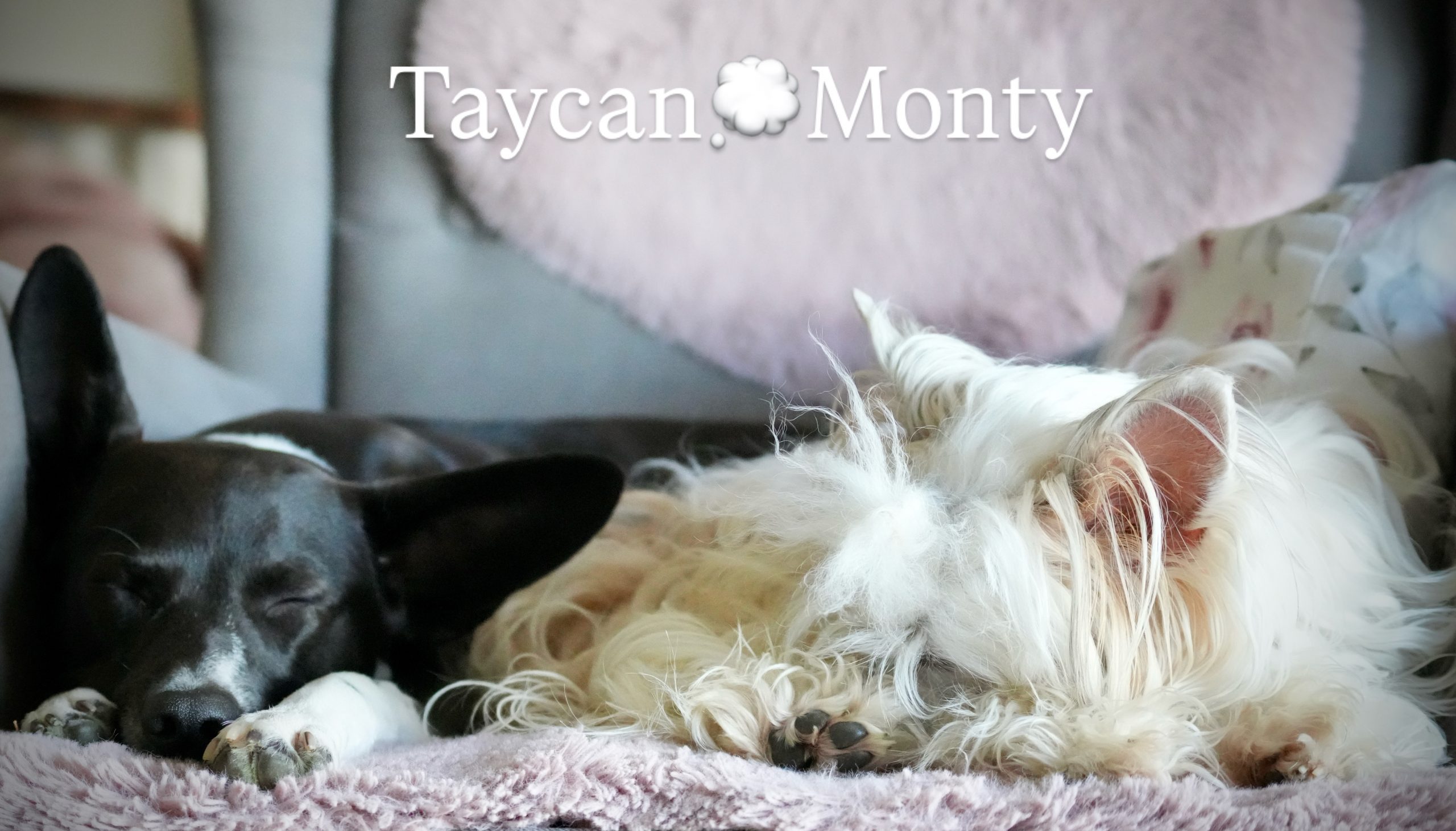 BB843941-AE1C-4C97-B4A3-7171CC1CA220